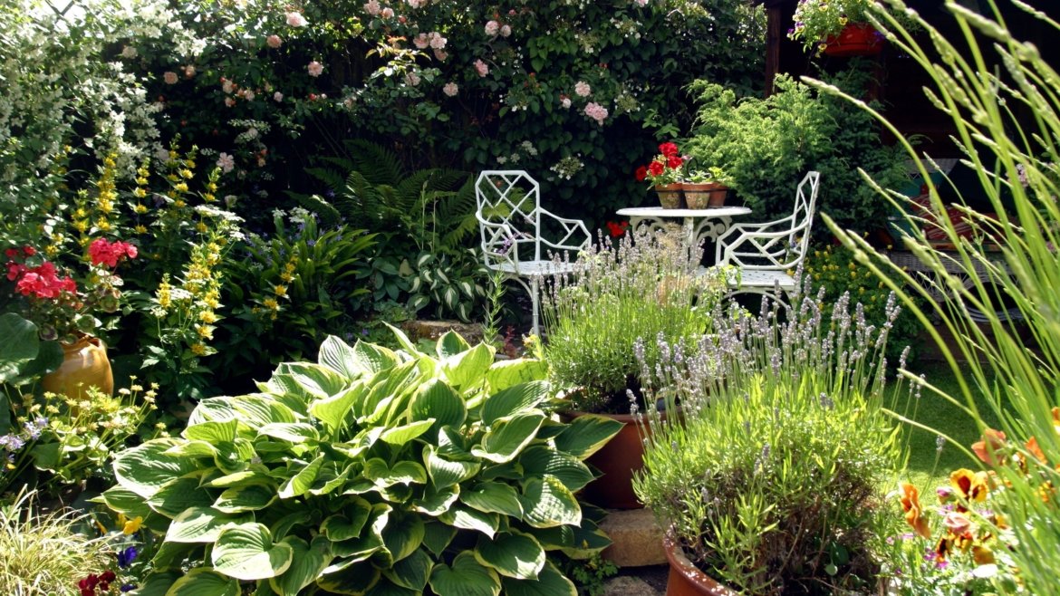 Minimalism and Edges