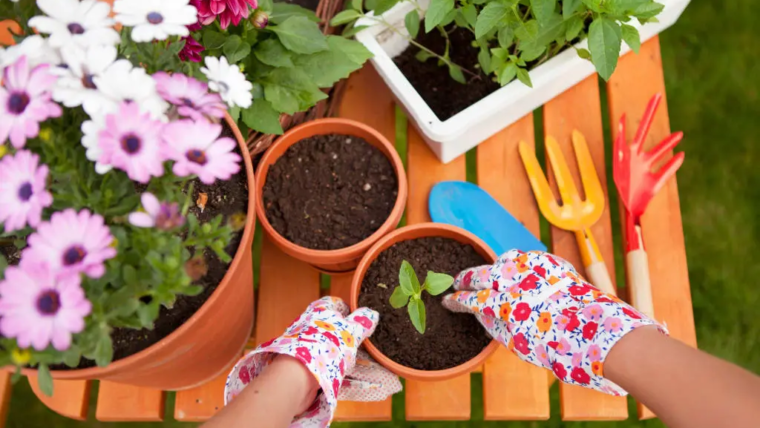 “7 Timeless Interior Design Ideas That Never Go Out of Style”